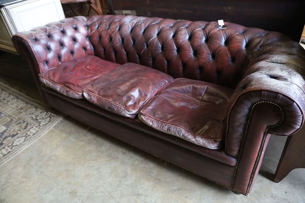 A three seater Chesterfield settee covered in deep-buttoned burgundy hide, length 210cm, depth 90cm, height 76cm